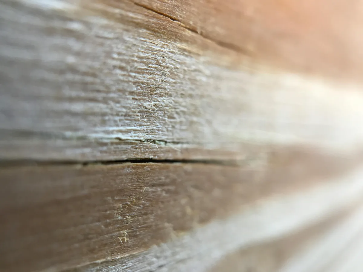 Close-up of edge-grain hard maple butcher block showing the laminated wood strips and oiled finish